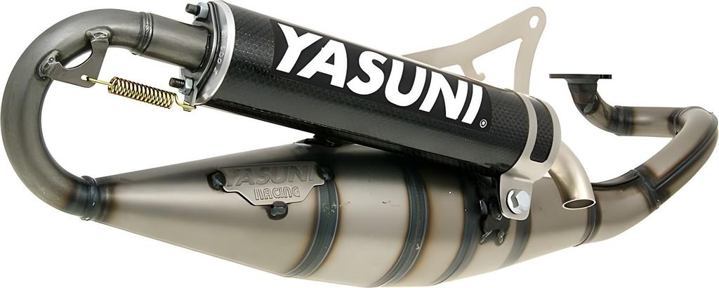Yasuni Auspuffanlage Scooter R mit Zulassung, Carbon kompatibel mit Yamaha Aerox Cat, Aprilia SR Racing LC Malaguti F12 Phantom AC Neos MBK Nitro J...