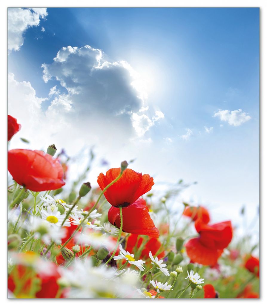 Wallario Herdabdeckplatte aus Glas, Größe 52 x 60 cm 1-teilig, Motiv Mohnblumen unter blauem Himmel