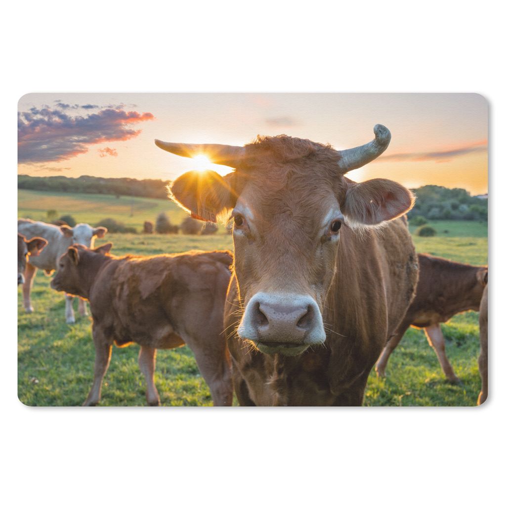 MuchoWow Schreibtischunterlage Kühe - Sonne - Wiese - Landleben 60x40 cm - XXL Mauspad - Großes Mauspad