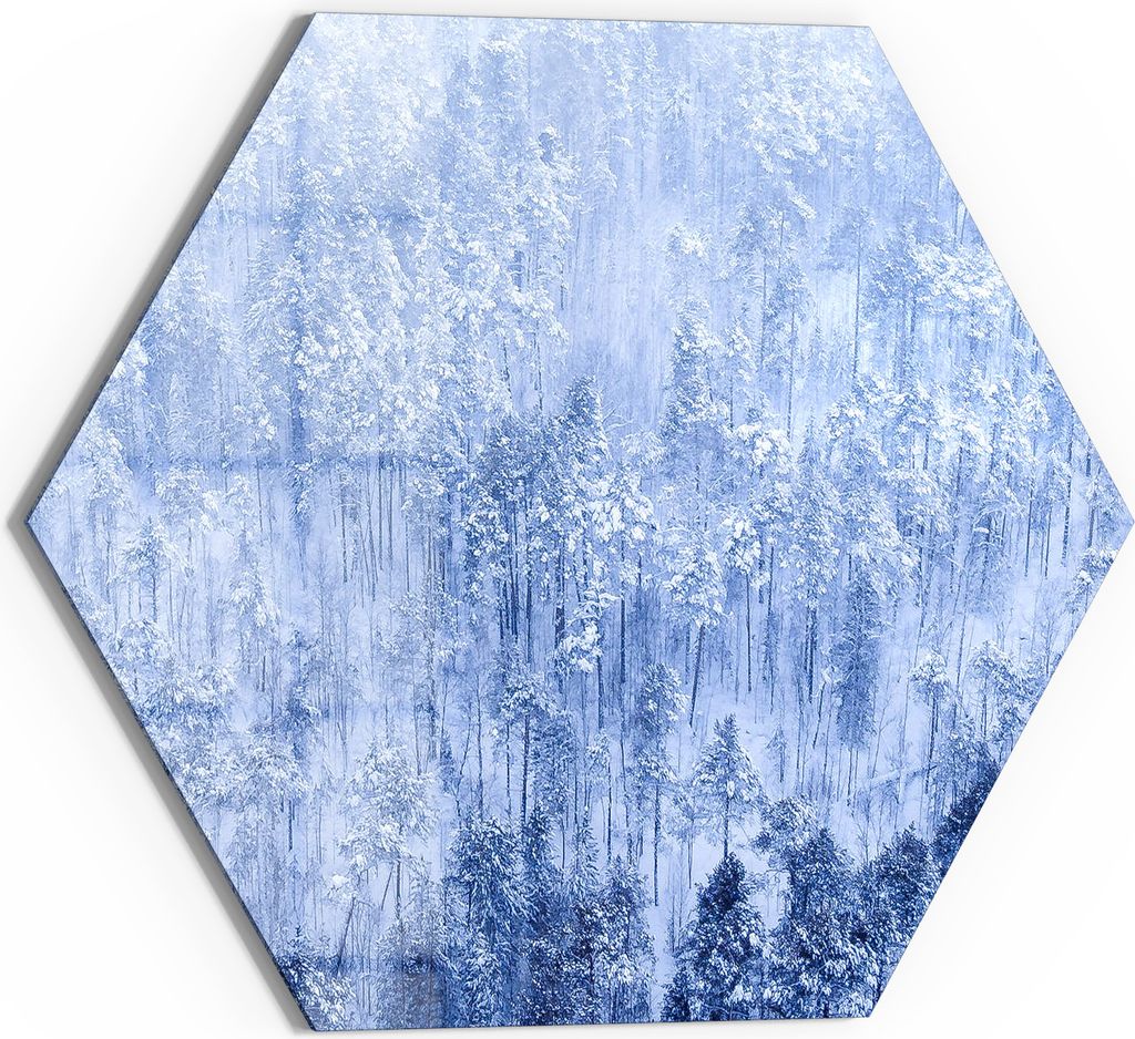 DEQORI Glasbild Echtglas 55x48 cm 'Winterwald in Weiß' Wandbild Bild modern Deko
