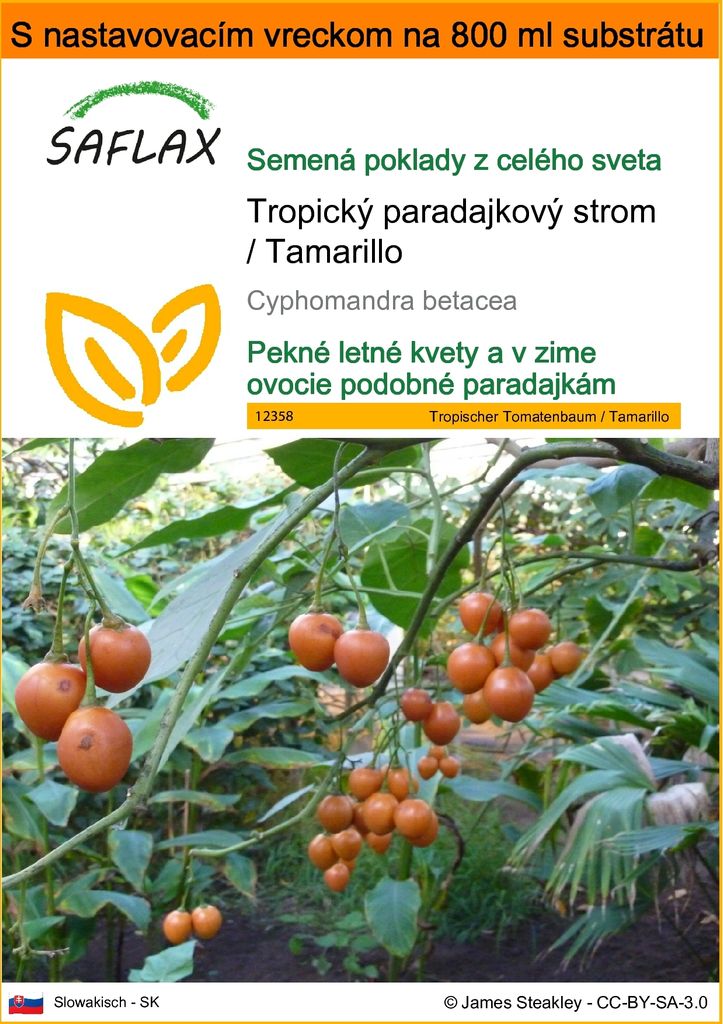 SAFLAX Garden in the bag - Tropický paradajkový strom / Obrázok produktu 