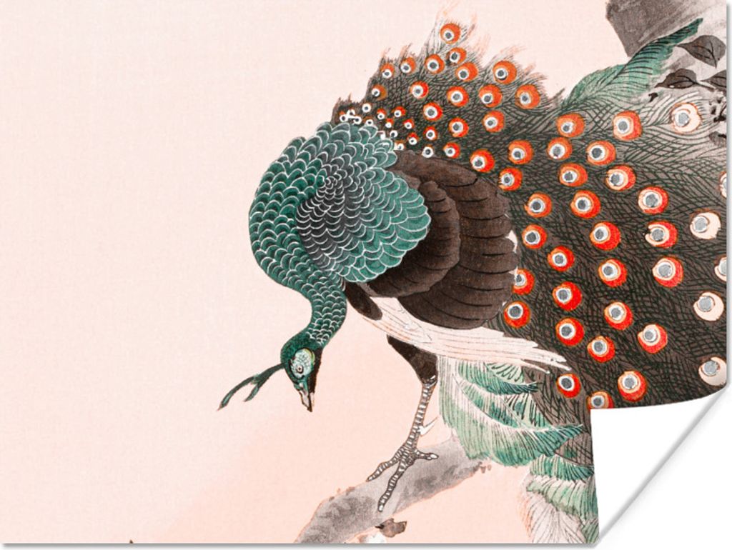 MuchoWow Poster Pfau - Federn - Vintage - Japanisch - Skandinavisch 80x60 cm - Kunst für zu Hause