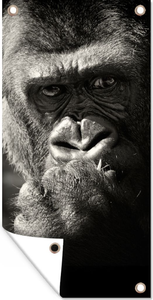 MuchoWow 30x60 cm Outdoor-Poster Gartendeko Sichtschutz Garten Poster für den Garten Gorilla auf schwarzem Hintergrund in Schwarz und Weiß