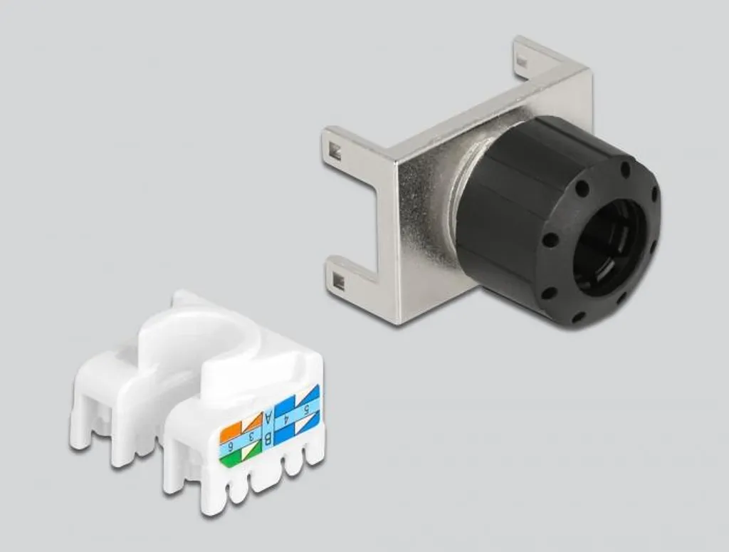 Entrée modulaire Delock avec volet de protection et mise à la terre