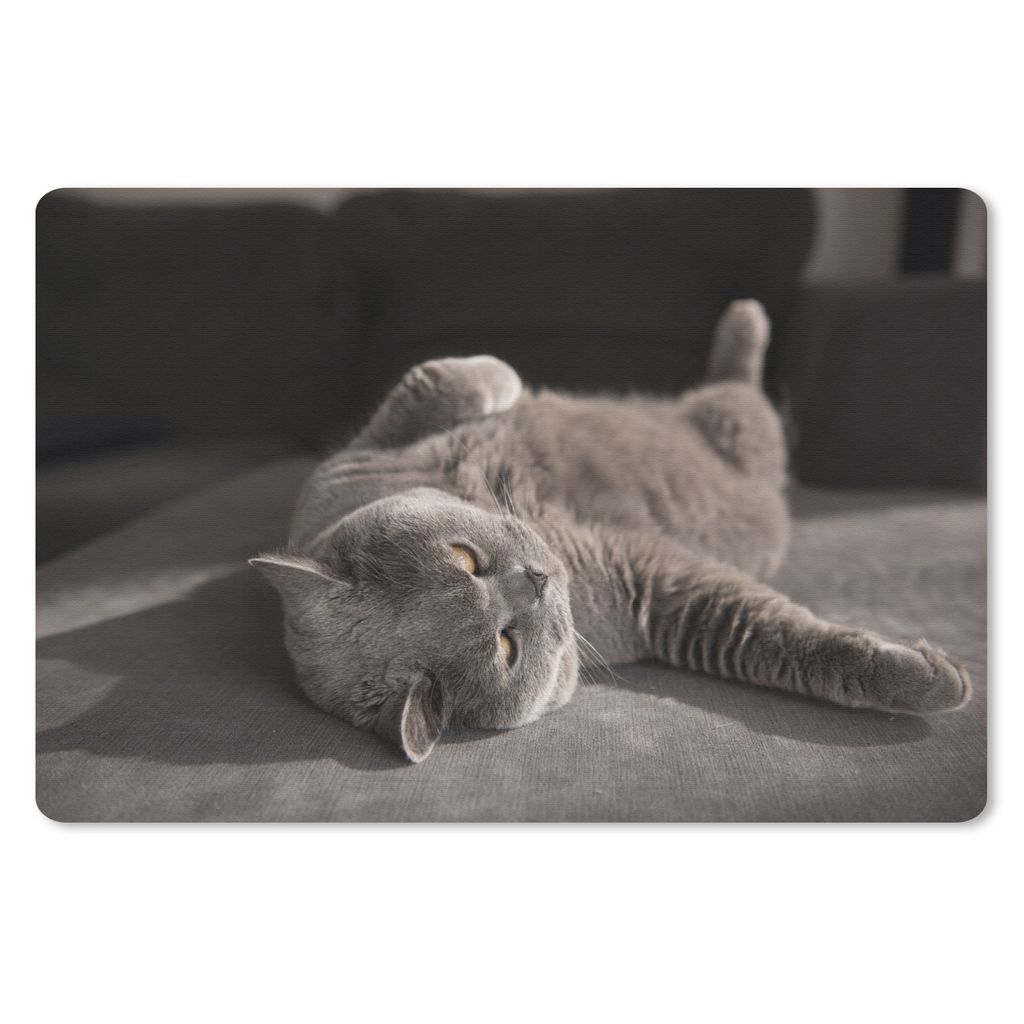MuchoWow® Mauspad Mousepad Tier - Katze - Grau 27x18 cm - Produktbild 