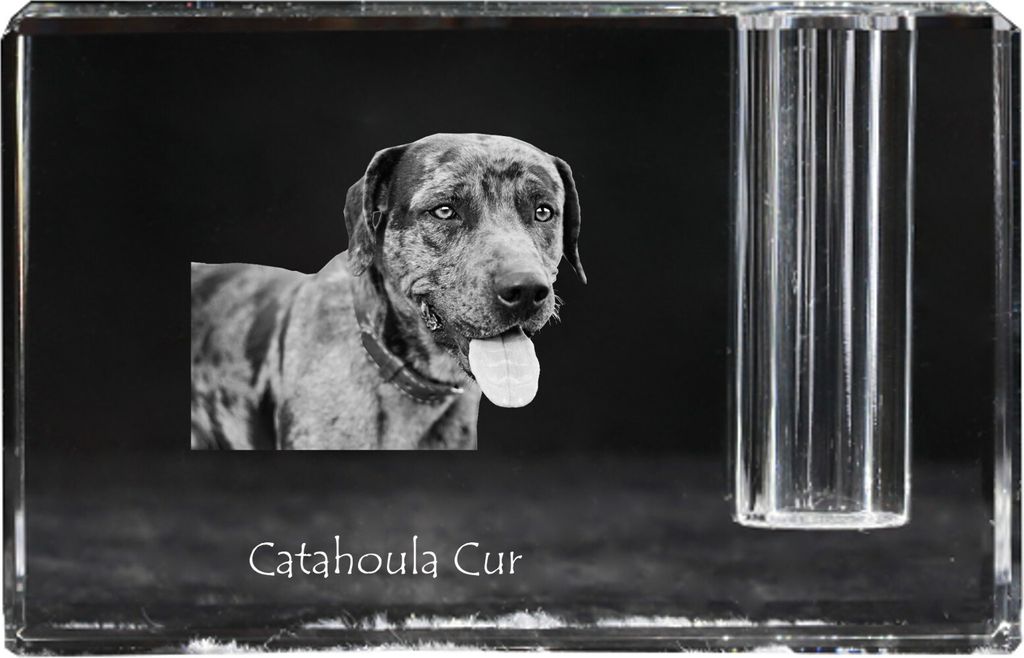 Catahoula Leopard Dog, Catahoula Cur - Stifthalter, Kristallorganizer mit Hundefoto, einzigartige Schreibtischdekoration der Marke Art-Dog