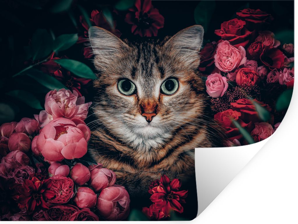 MuchoWow Wandtattoo Wandsticker Wandaufkleber Katze - Blumen - Tiere - Botanisch 80x60 cm Selbstklebend und Repositionierbar - Faltenfrei