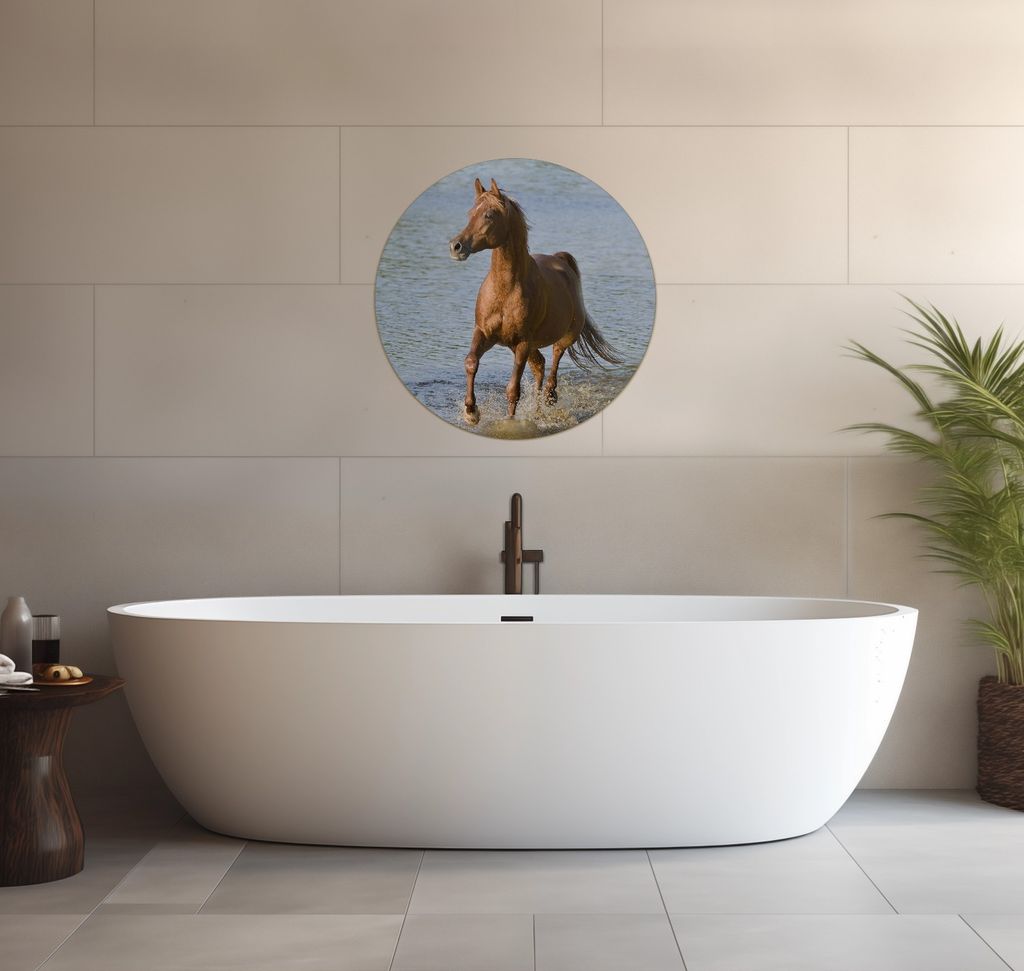 Wallario wasserfestes Poster selbstklebend 60 x 60 cm, Braunes Pferd am Meer Araber am Wasser, Badezimmerposter Spritzschutz mit Hochglanzoberflä...