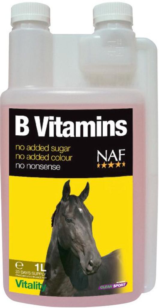 B-Vitamine für Konzentration und Vitalität bei Pferden