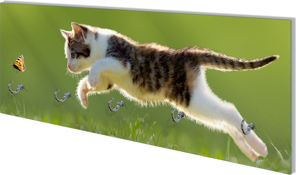Wallario Flurgarderobe Wandgarderobe aus Glas, mit 5 Haken, Größe 80 x 30 cm, Motiv Süße Katze fängt Schmetterling im Grünen