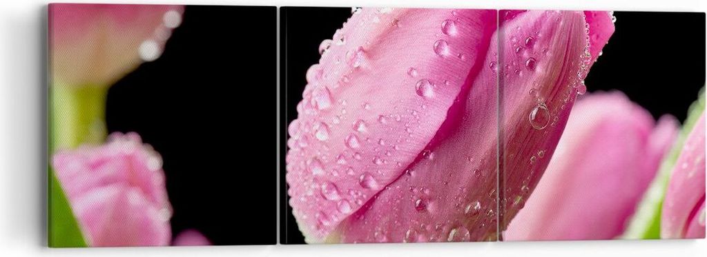 Bild auf Leinwand - Leinwandbild - Tulpe Blumen Tau - 90x30cm - Wand Bild - Wanddeko - Wandbilder - Leinwanddruck - Bilder - Kunstdruck - Wanddekor...