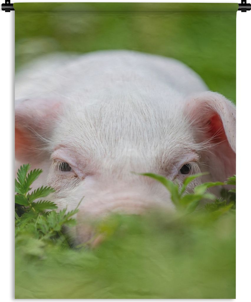 MuchoWow Wandteppich Wandbehang Schwein - Tiere - Groß 60x80 cm Tapisserie Dekoration Wandtuch - Decke - Wandtücher - Wohne