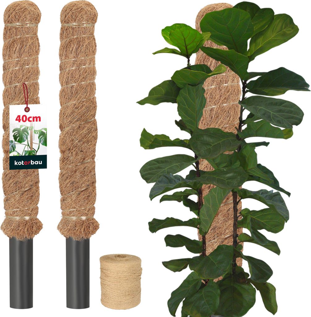 KOTARBAU® 2 pezzi Tutori per Piante ⌀ 3,2 x 40 cm Palo di Immagine del prodotto 