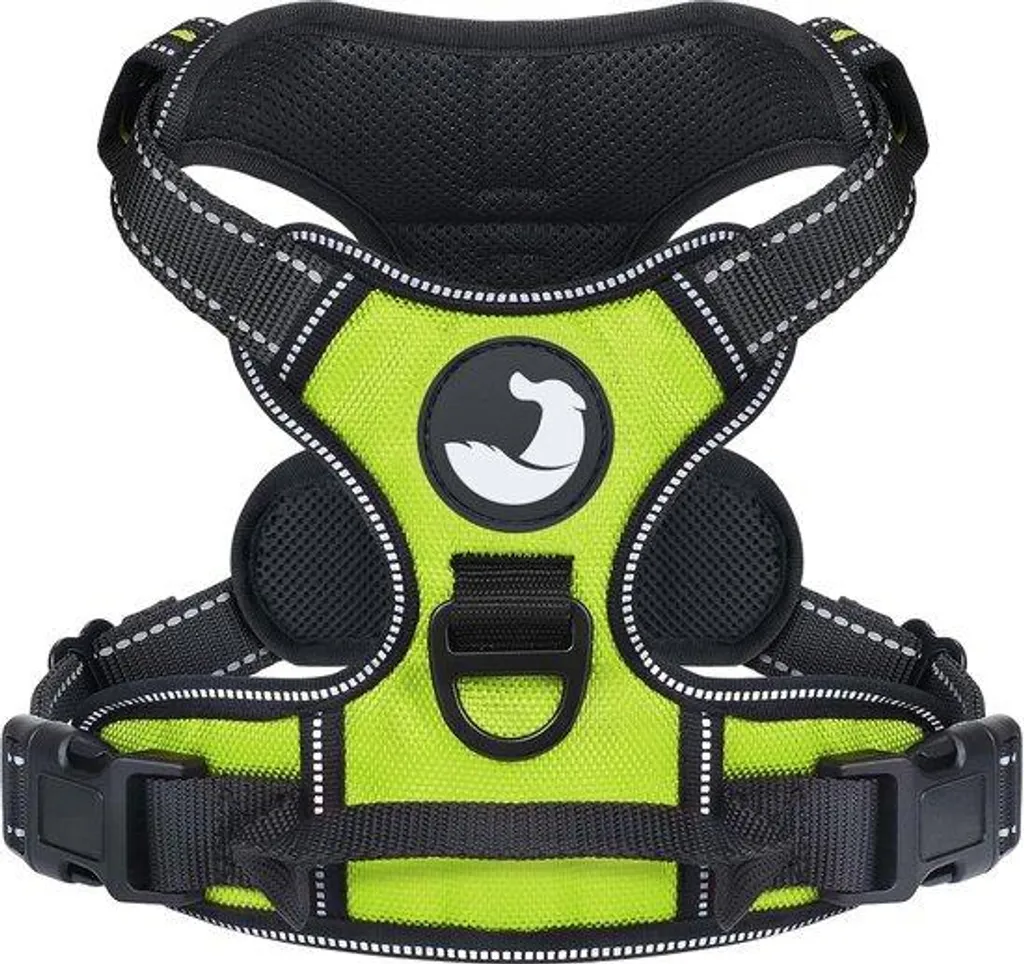Laisse pour balade nocturne grand chien harnais sécurisé vert taille L