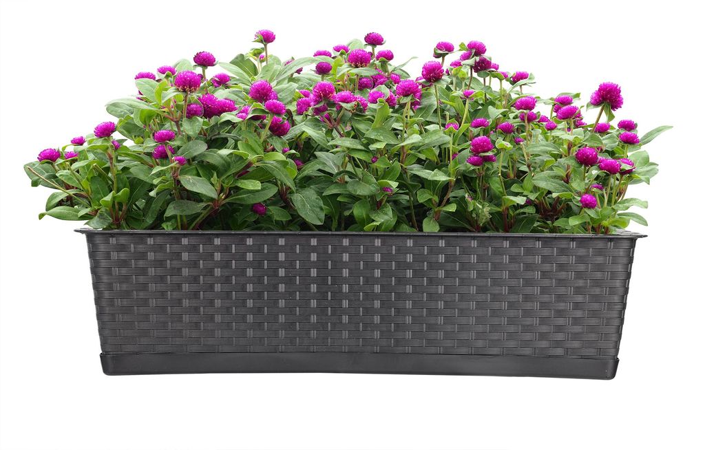 BigDean Blumenkasten mit Untersetzer 70 cm lang