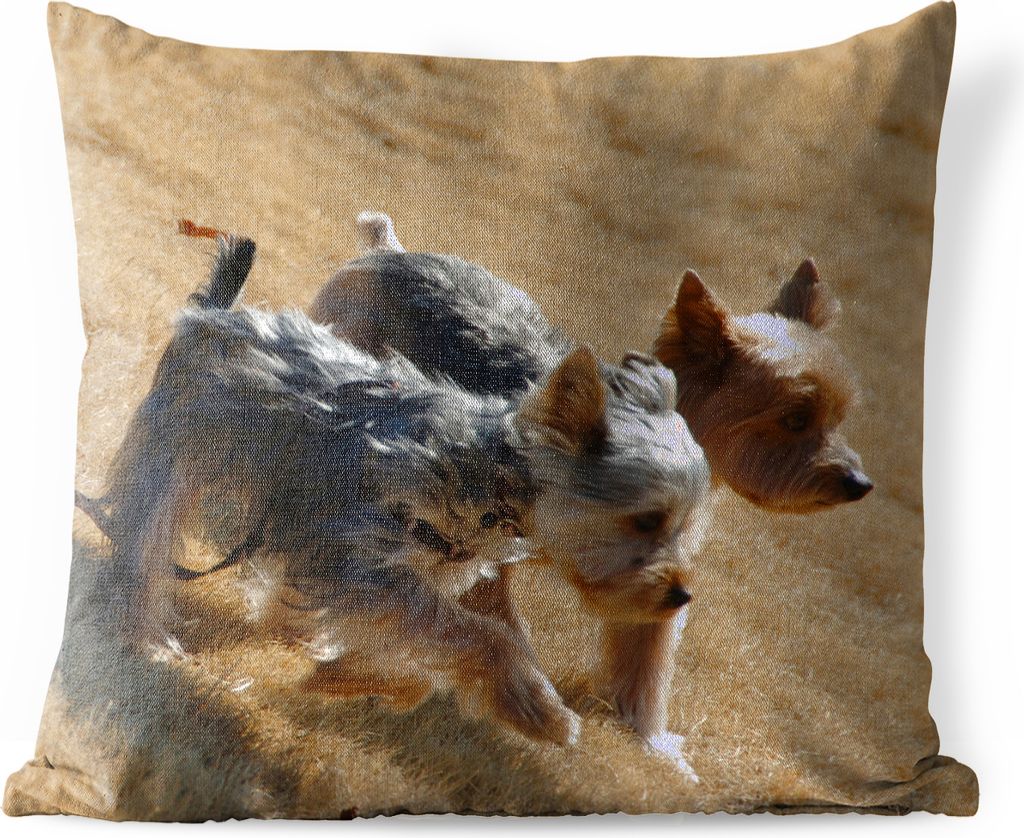 MuchoWow Outdoor Kissen - Zwei kleine Yorkshire Terrier gehen am Strand spazieren - 60x60 cm - Wetterfest - Lounge Kissen - Dekoration - Schlaf K...