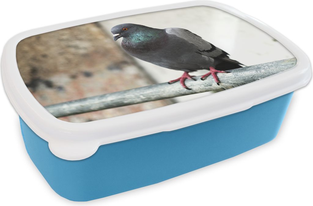KitchenYeah Lunchbox Brotzeit Brotdose 17x11 cm Eine bunte Taube auf einem Holzstab Kinder Brotzeitdose - Lunch - Kunststoff - Brotbüchse - San...