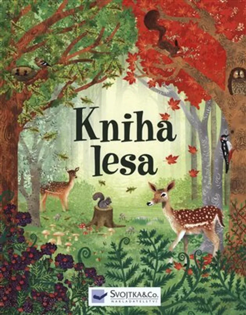 Kniha lesa par Alice James : livre éducatif nature pour enfant curieux