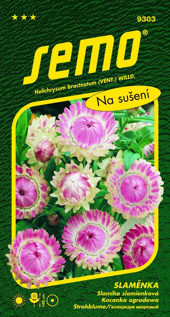 Samen - STROHBLUME rosa