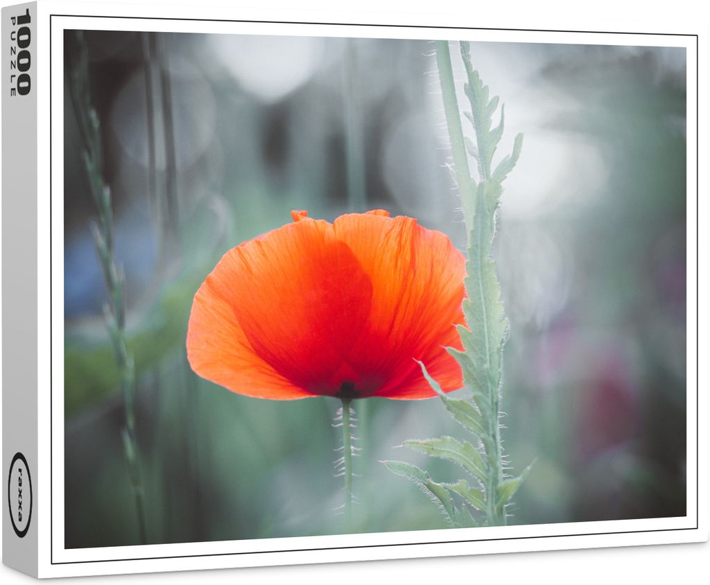 raxxa Premium-Puzzle "Roter Mohn", 1000 Teile