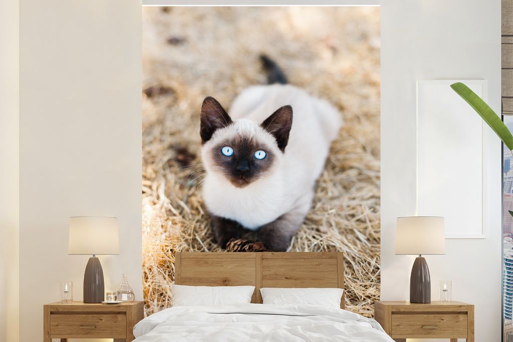 MuchoWow Fototapete für Wohnzimmer oder Schlafzimmer Wandtapete Vinyl Motivtapete Ein siamesisches Kätzchen mit blauen Augen im Heu - 225x350 c...