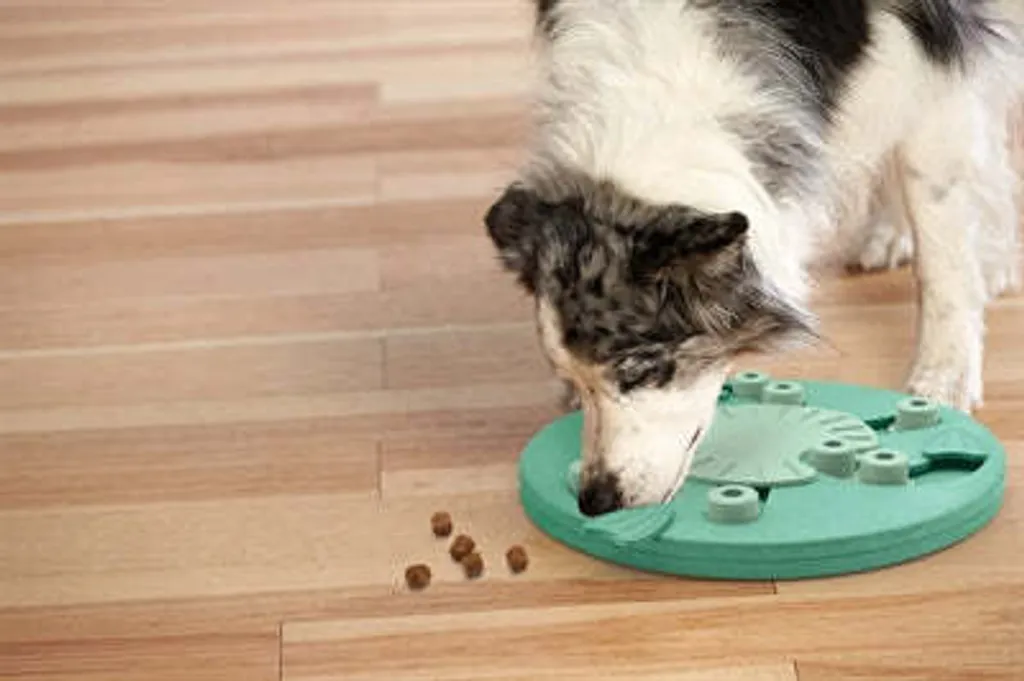 Puzzle interactif Dog Worker pour chien expert - Jeu d'intelligence Mint