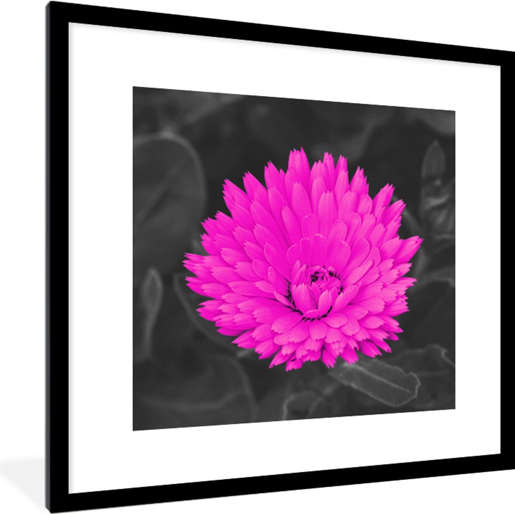 MuchoWow Gerahmtes Poster Blumen - Aquarell - Rosa 40x40 cm - Poster mit Schwarzem Bilderrahmen Wandposter Rahmen Foto Bilder - Poster - Plakat i...
