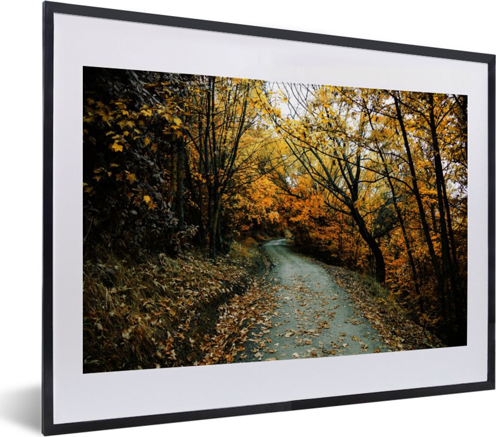 MuchoWow® Gerahmtes Poster Blätter - Herbst - Wald 40x30 cm Produktbild 