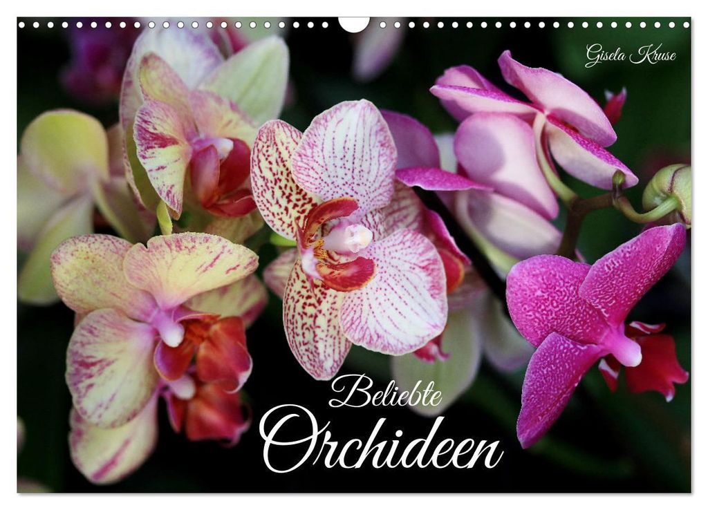 Beliebte Orchideen (Wandkalender 2027 DIN A3 quer), CALVENDO Monatskalender