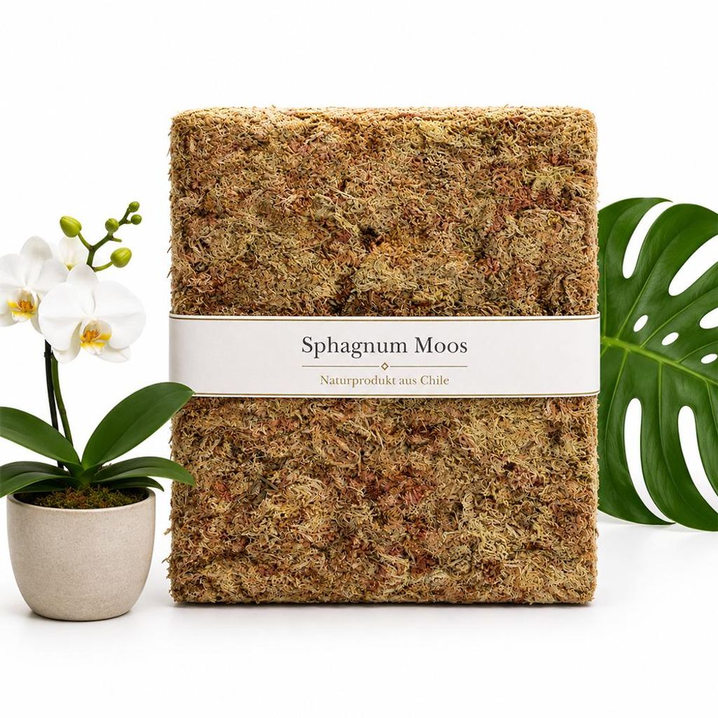 Sphagnum Moos 500g, ca. 40L – stark Wasser-speicherndes Produktbild 