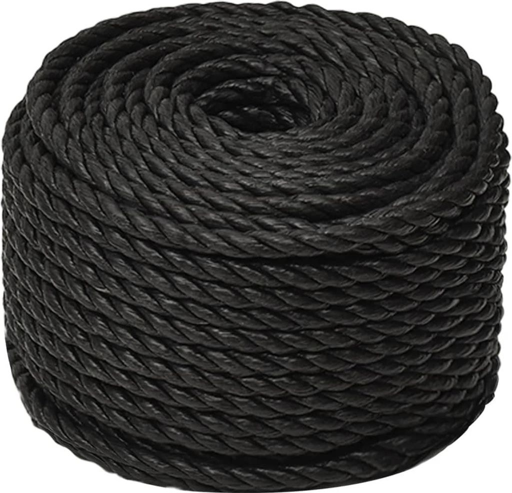 Corda da Lavoro Nera 10 mm 100 m in Polipropilene Immagine del prodotto 
