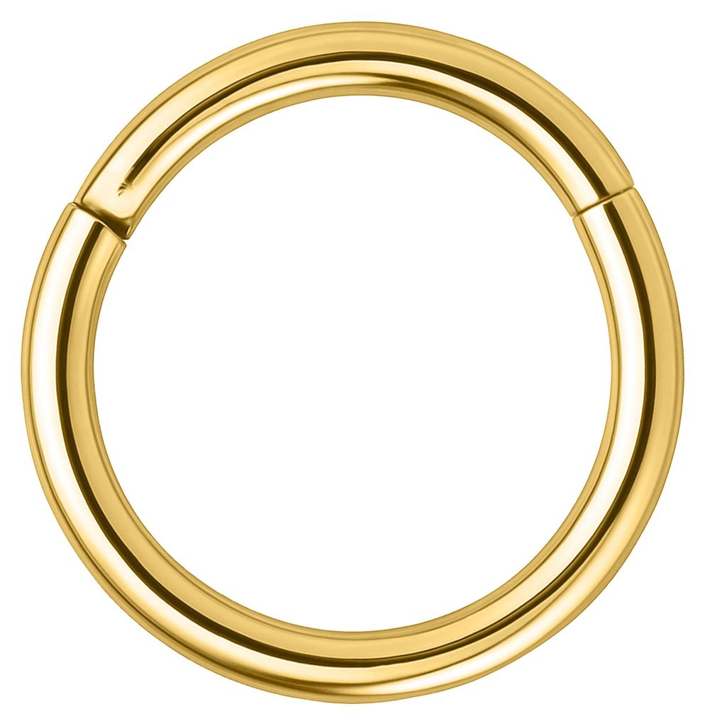 Wildcat Piercingringe - Hinged Segmentring aus Produktbild 