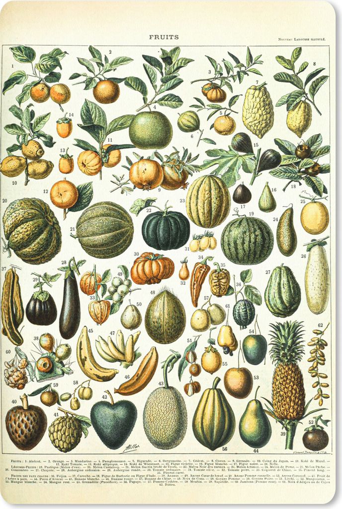 MuchoWow Mauspad Mousepad Obst - Lebensmittel - Design - Vintage - Adolphe Millot 40x60 cm - Mousepads - Maus Mat - Pad - Mausunterlage - Schreib...