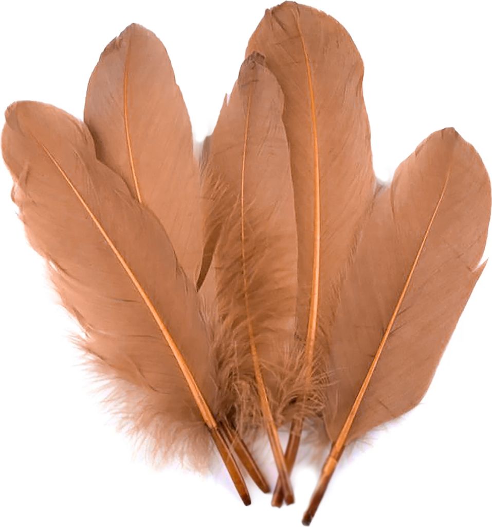 20 Entenfedern 15-21cm Bastelfedern Federn Dekofedern f. Hüte Kostüme Basteln