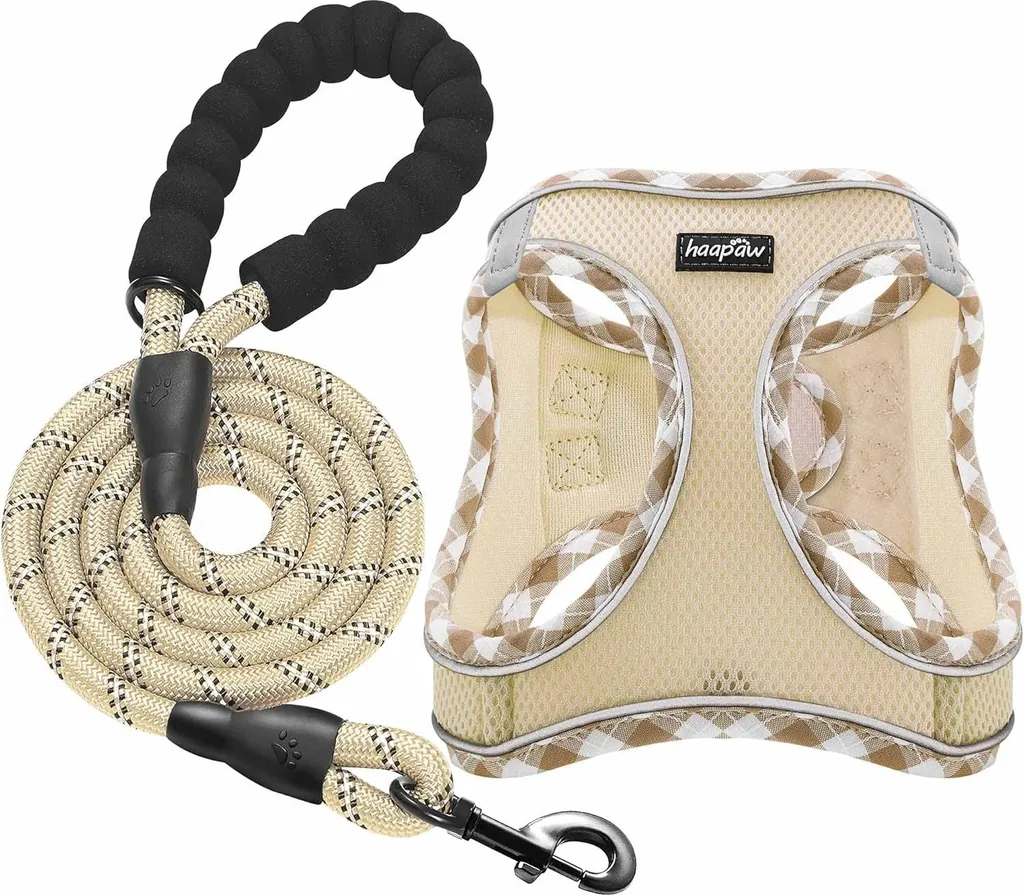 Harnais gilet pour petit chien avec laisse - Rembourrage épais et ajustable