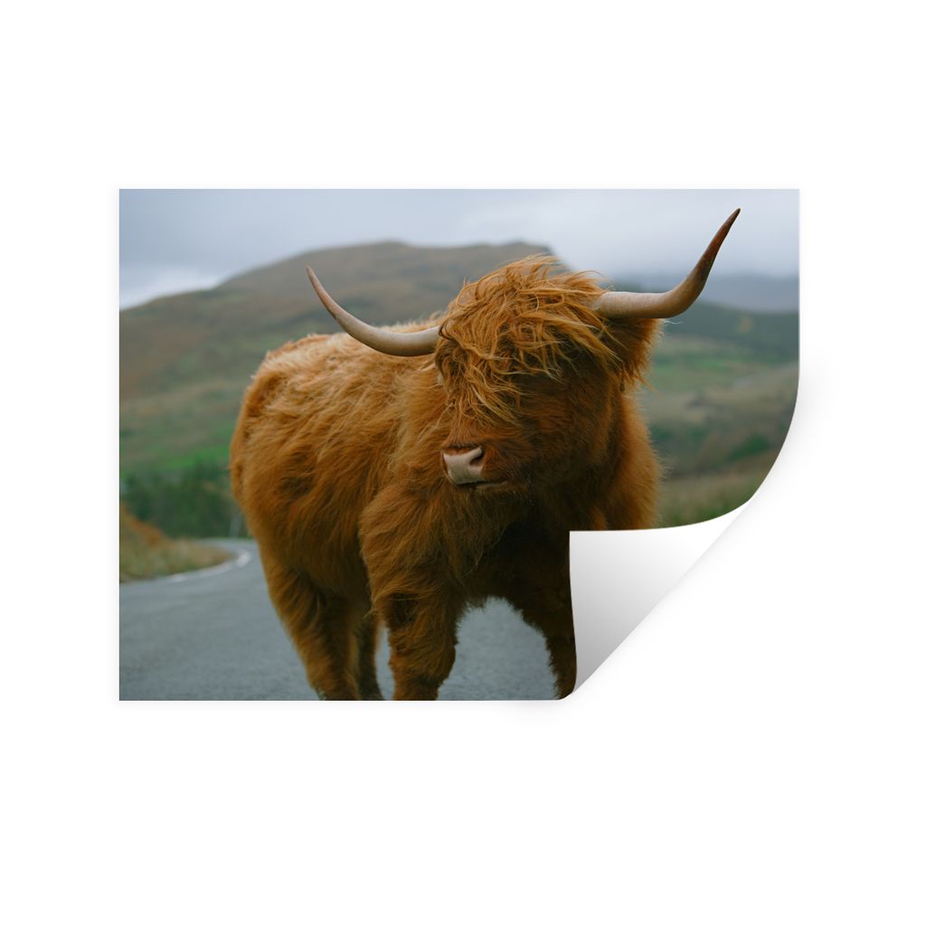 MuchoWow Wandtattoo Wandsticker Wandaufkleber Schottischer Highlander - Berg - Straße 160x120 cm Selbstklebend und Repositionierbar - Selbstkleb...