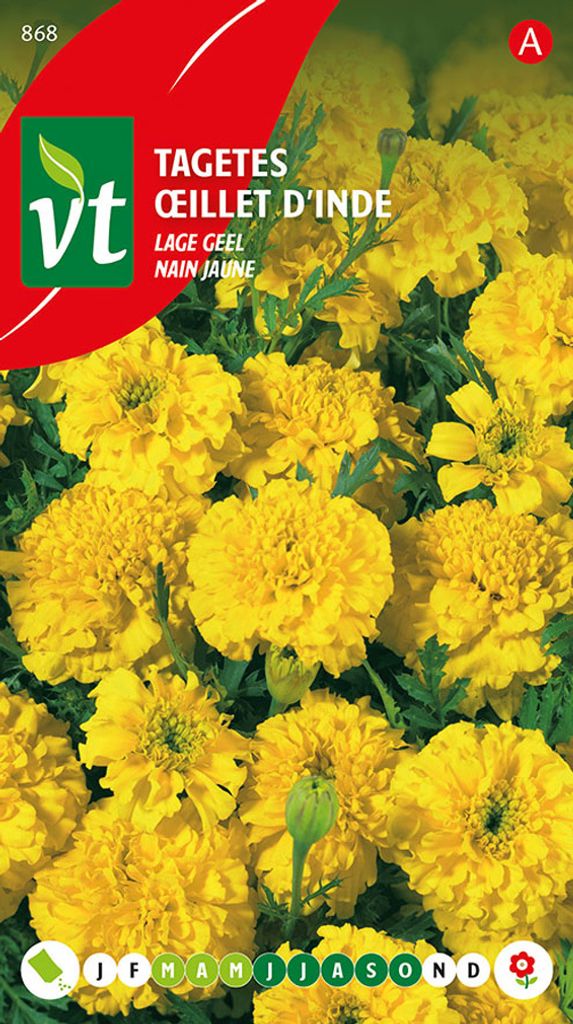Semi di mandarino basso giallo - Circa 1 gr | VT_868 Immagine del prodotto 