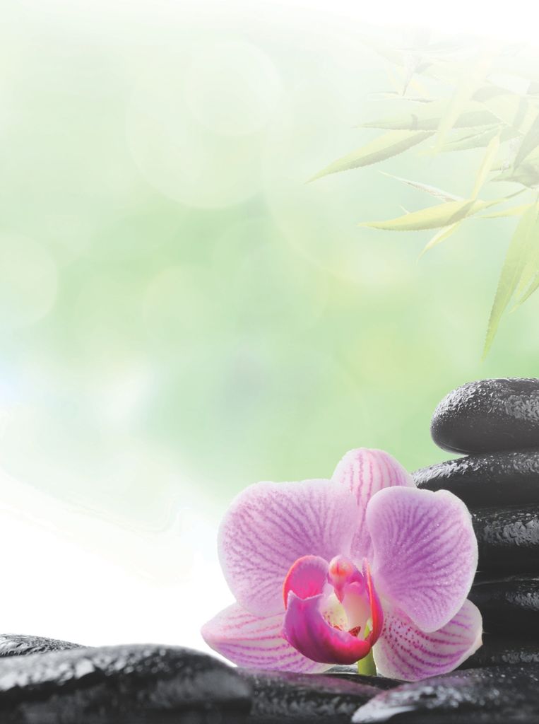 Motivpapier Briefpapier (Wellness-5070, DIN A4 100 Blatt) Feng Shui mit pink Orchidee auf wasserbenetzten Steinen und Bambus im Hintergrund