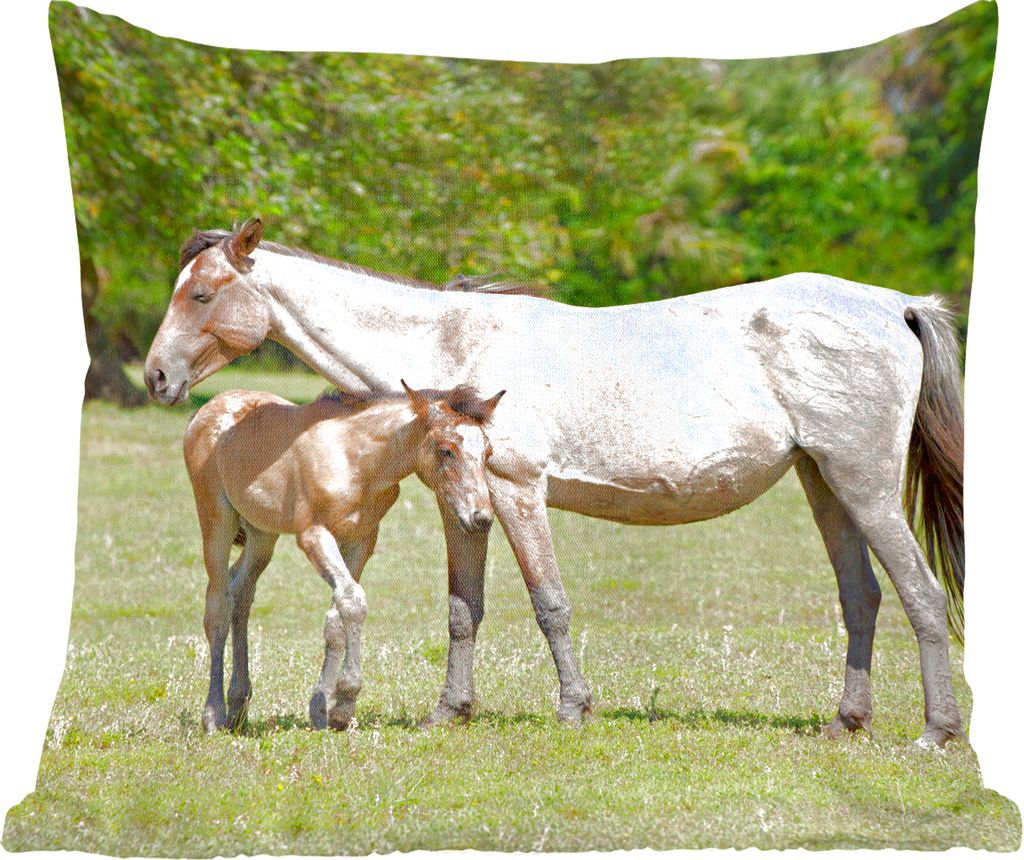 MuchoWow Zierkissen Sofakissen Wohnzimmer Dekokissen 45x45 cm Pferde - Gras - Schatten - Schlafpolster - Polster für das Sofa