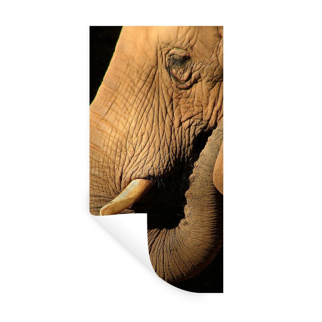 MuchoWow Wandtattoo Wandsticker Wandaufkleber Elefant - Tiere - Nahaufnahme - Schwarz 80x160 cm Selbstklebend und Repositionierbar - Sticker - De...