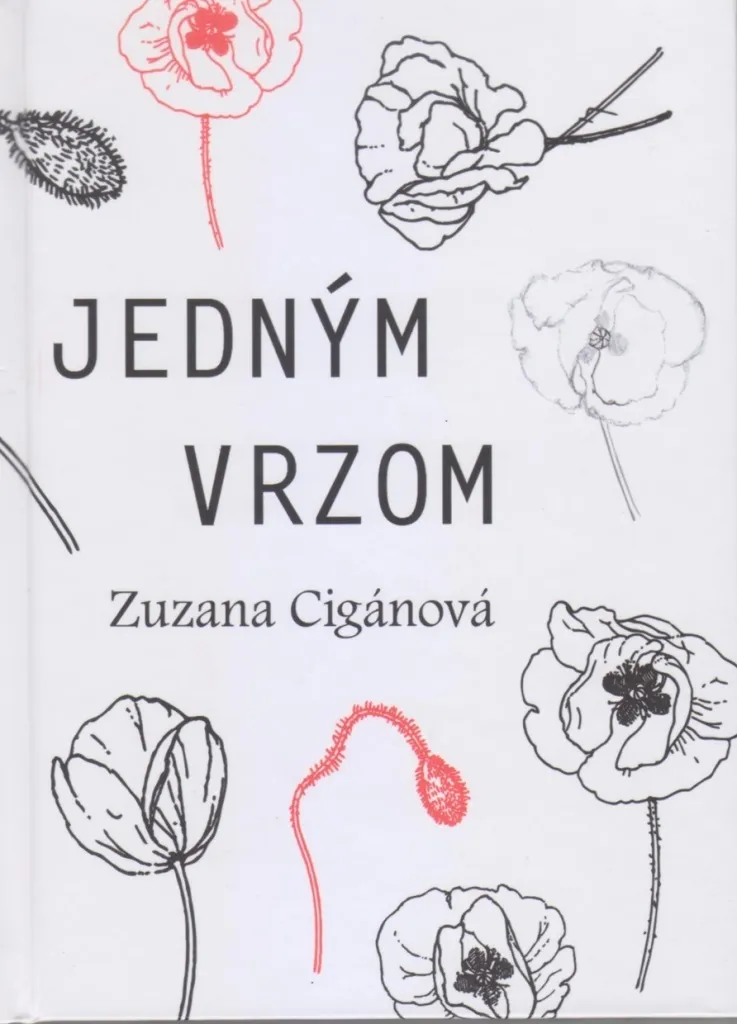 Jedným vrzom par Zuzana Cigánová - Roman Littéraire Slovaque Broché