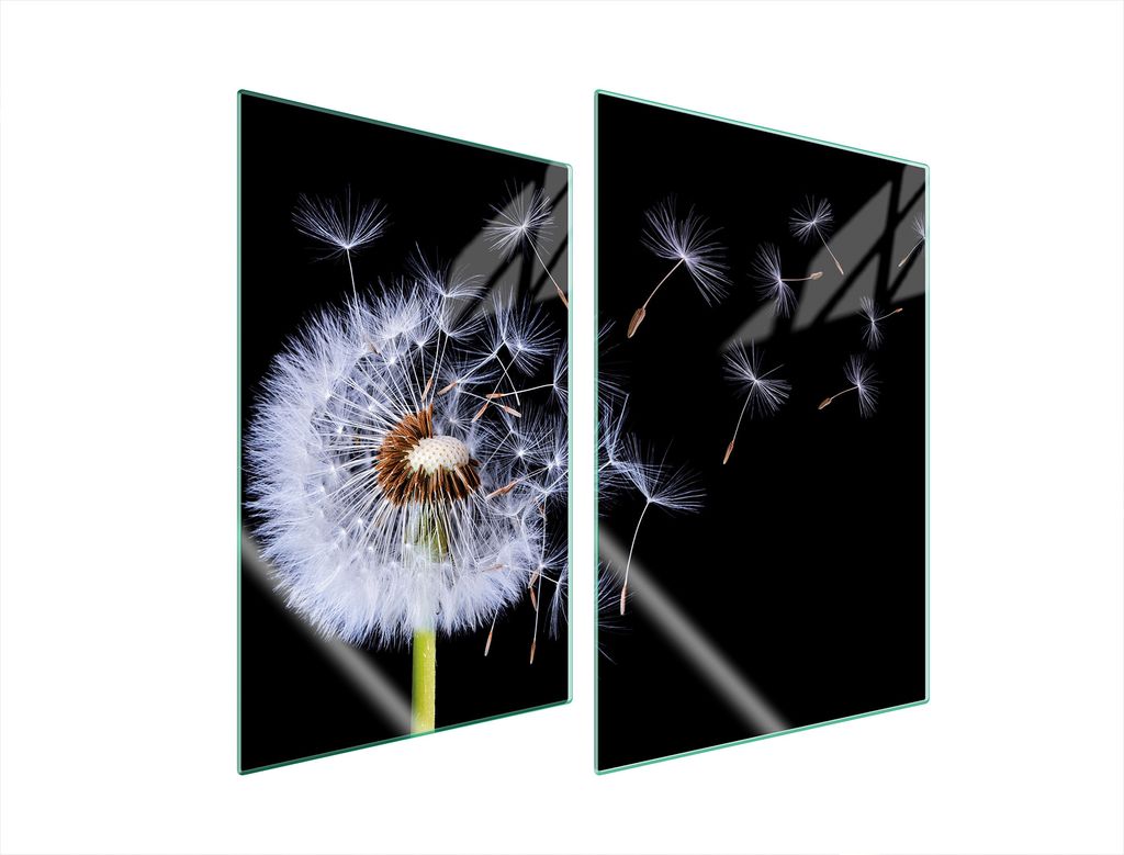 Glasschutzplatte Für Küche 2X35X52 Blume