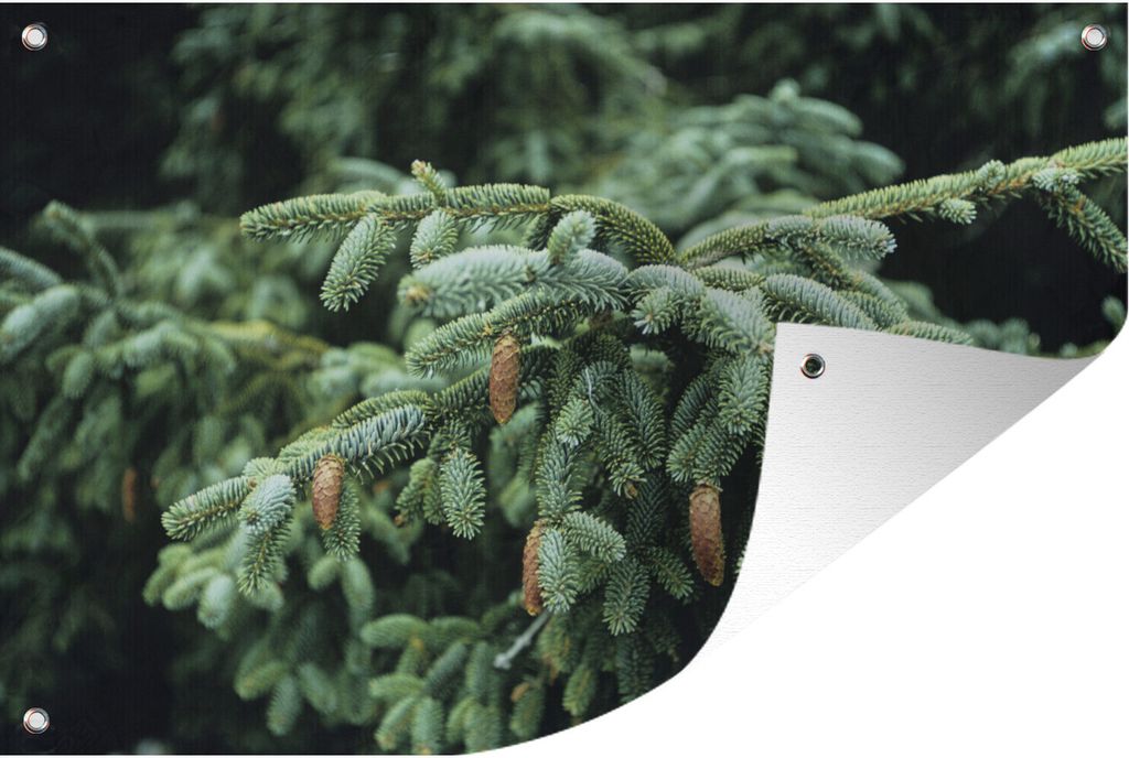 MuchoWow 90x60 cm Outdoor-Poster Gartendeko Sichtschutz Garten Poster für den Garten Eine Nahaufnahme eines Weihnachtsbaums in einem Wald in de...