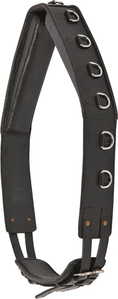 Harnais de longe cuir noir WB pour muscler le dos de votre cheval