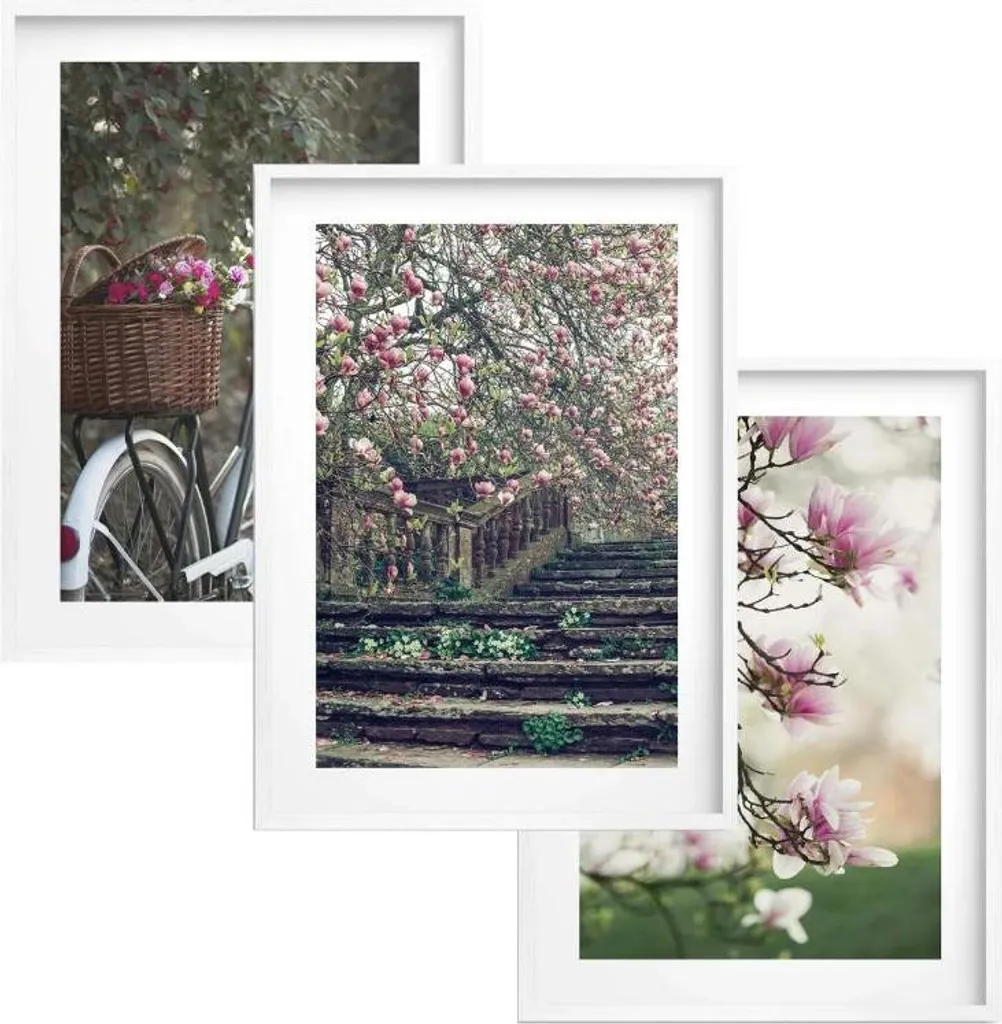 Poster Botanici 30x40 in Cornice - Quadri Fiori Trendy per Soggiorno