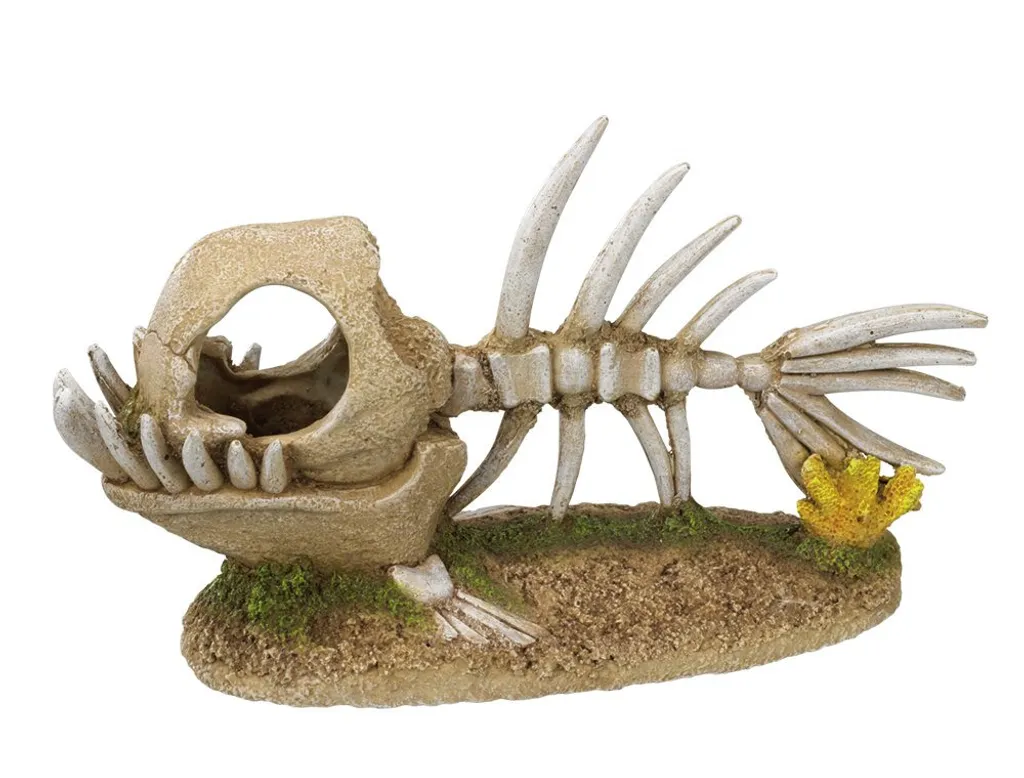 Decorazione Monsterfisch Skelett 22.8cm - Poliresina Atossica Professionale