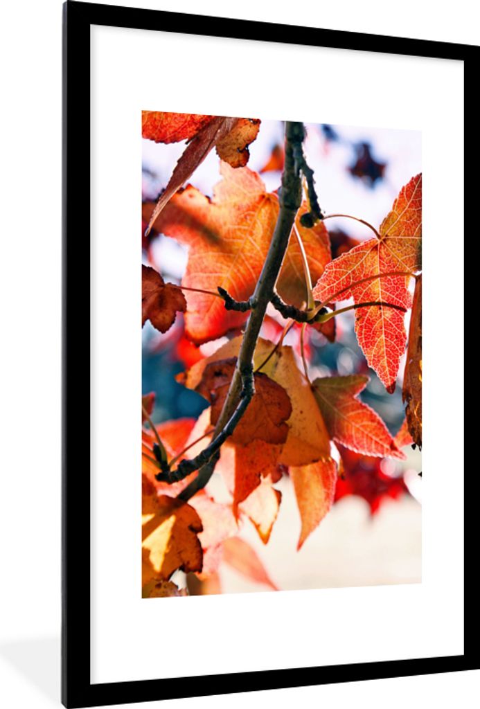 MuchoWow Gerahmtes Poster Ahorn - Blätter - Rustikal - Herbst 60x90 cm - Poster mit Schwarzem Bilderrahmen Wandposter Rahmen Foto Bilder - Dekor...