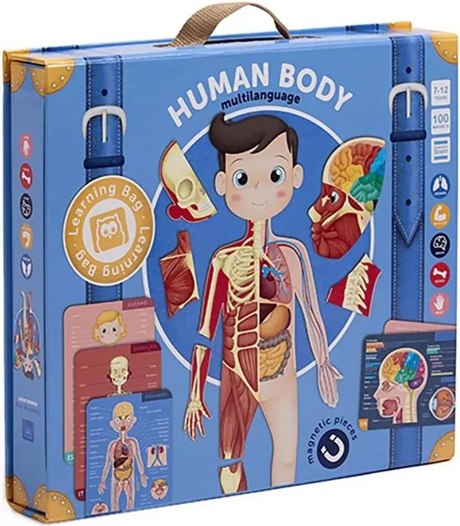 Eurekakids Corps humain Magnétique Multilingue Multicolore One Size