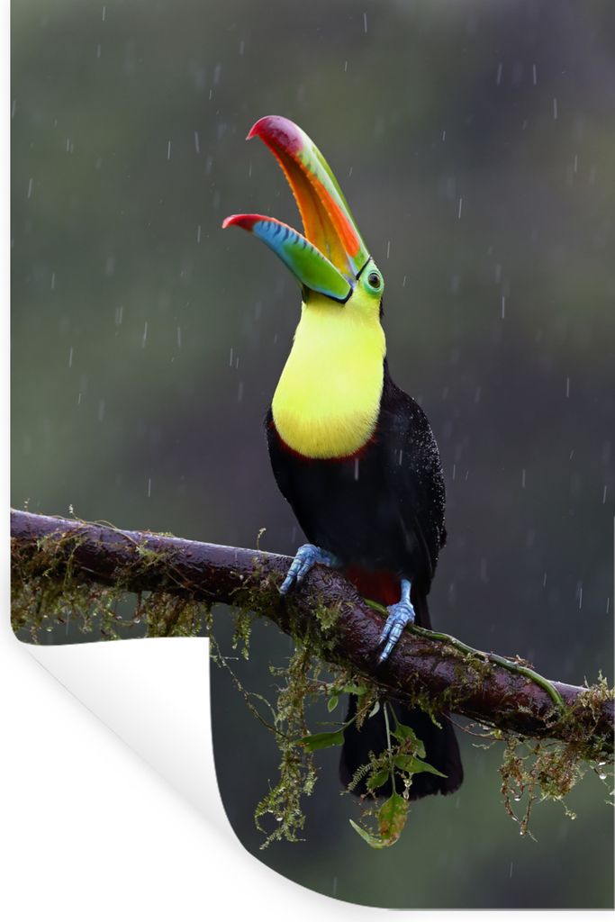 MuchoWow - Sticker - Dekorfolie