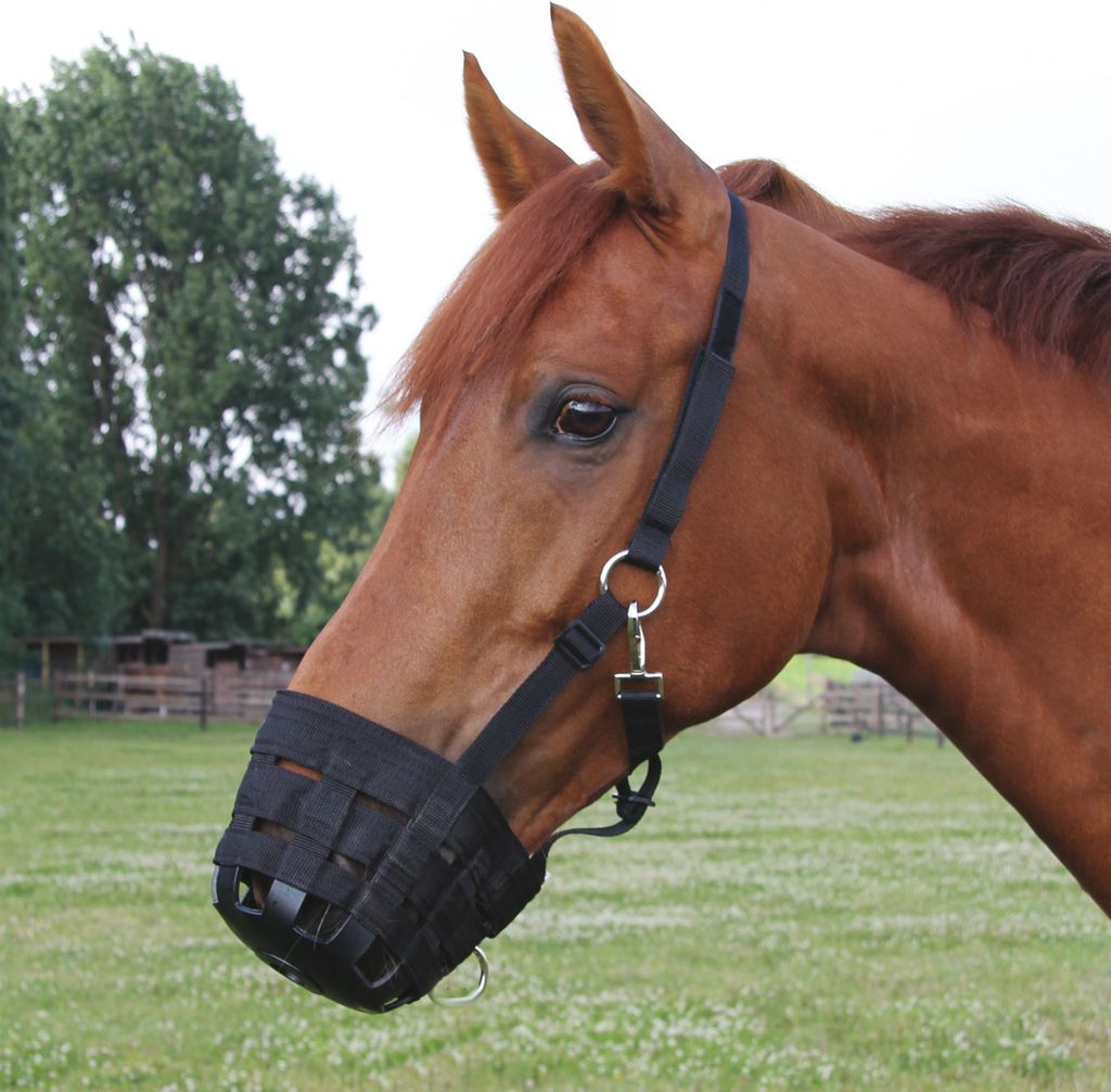 Waldhausen Weide-Maulkorb verstellbarer Fressbremse Schwarz WB